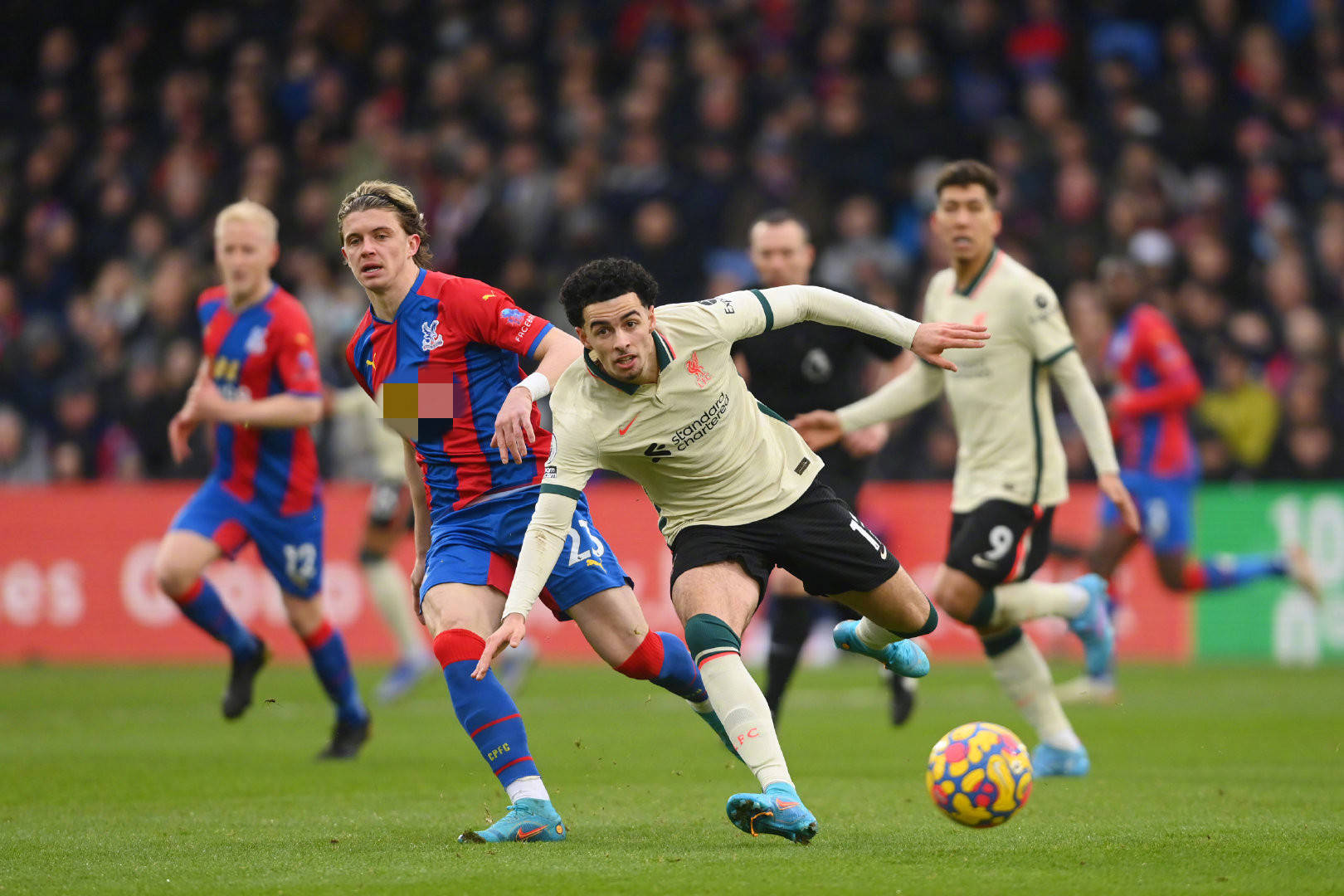 己在本赛季 己在本赛季